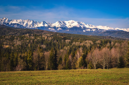 Charming panorama of the Polish Tatra Mountains in the morning. View of the High and Western Tatras from the village of Lapszanka, Poland.の写真素材