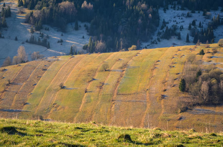 Nice morning spring landscape in the countryside. View of the hills in the village of Osturna in Slovakia illuminated by the morning sun.の写真素材