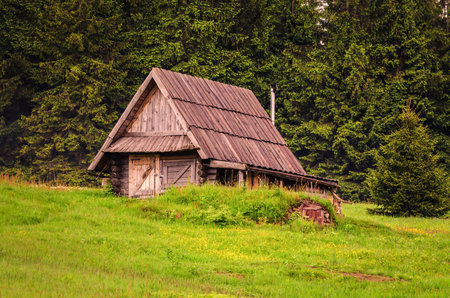 Wooden hut in green forest scenery. Idyllic shed situated on green clearing with pine trees at the background.の写真素材