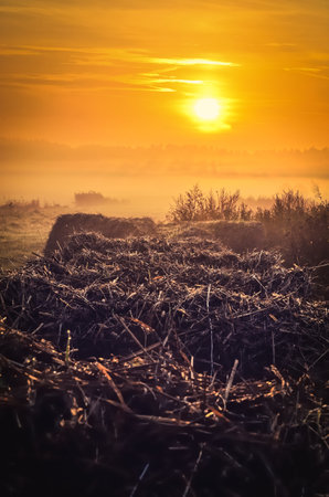 Countryside landscape in early morning. Straw and bushes on grassland during the sunrise, Poland.の写真素材