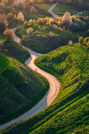 Beautiful green spring landscape in the Polish countryside. Winding road among green grass and flowering trees.の写真素材