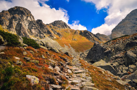Summer mountain landscape in sunny day. Beautiful mountain rocky peaks in High Tatra, Slovakia.の写真素材