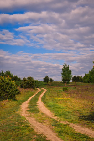 Beautiful summer colorful nature. Path in a green glade with a blue sky in the background.の写真素材