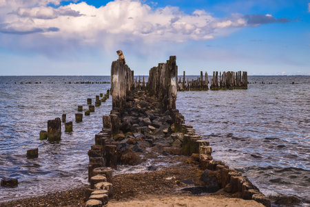 Beautiful summer view by the sea. Wooden logs on the Baltic Sea in Gdynia, Poland.の写真素材