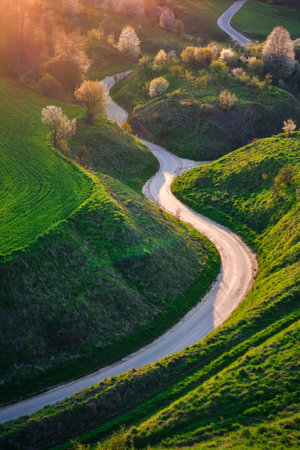 Beautiful green spring landscape in the Polish countryside. Winding road among green grass and flowering trees.の写真素材