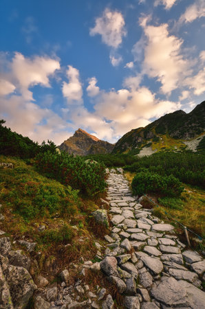 Afternoon summer landscape in the Polish High Tatra Mountains. Stone path between high peaks and green plants.の写真素材