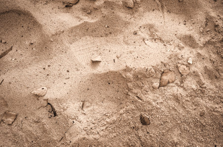 Sand bright background. Texture of bright sand.の写真素材