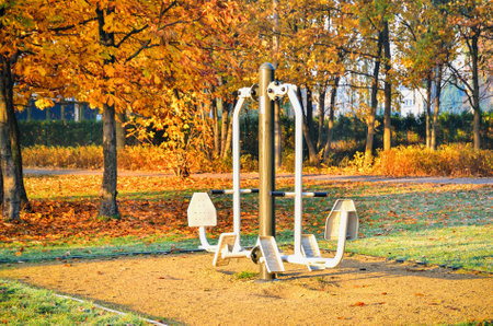 Sport theme with outdoor gym. The exercise apparatus in the autumn park.の写真素材