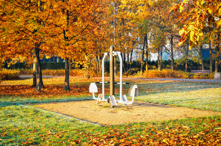 Sport theme with outdoor gym. The exercise apparatus in the autumn park.の写真素材