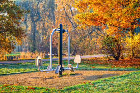 Sport theme with outdoor gym. The exercise apparatus in the autumn park.の写真素材