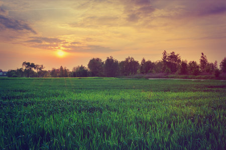 Spring landscape at sunset. Green meadow with colorful sky and setting sun.の写真素材