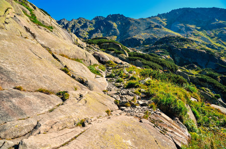 Summer mountain landscape in Slovak mountains. View on the mountain peaks in High Tatra, Slovakia.の写真素材