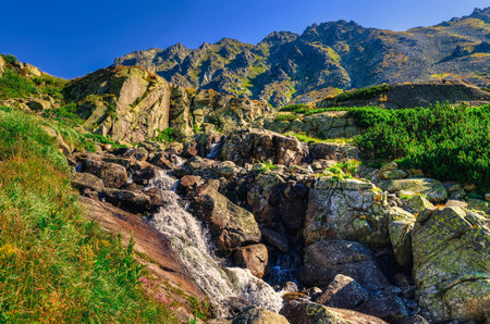 Summer mountain landscape in Slovak mountains. Beautiful waterfall in High Tatra, Slovakia.の写真素材