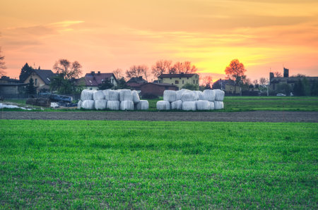 Rural landscape at sunset. Houses in the village of evening sky in the background.の写真素材
