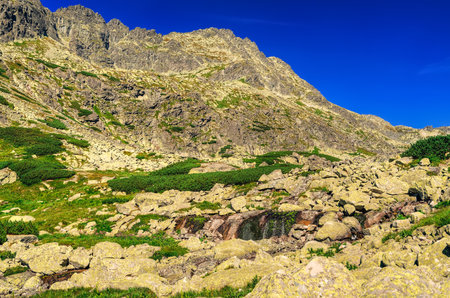 Summer mountain landscape in Slovak Mountains. Rocky peaks against blue sky.の写真素材