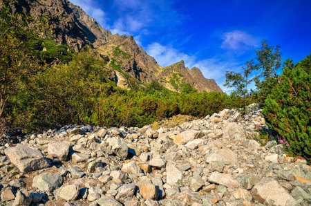Summer mountain landscape in Slovak mountains. Rocky peaks in High Tatra Mountains, Slovakia.の写真素材