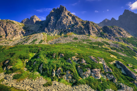 Summer mountain landscape in Slovak mountains. Beautiful rocky peaks in High Tatra, Slovakia.の写真素材