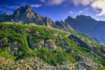 Summer mountain landscape in Slovak mountains. Beautiful rocky peaks in High Tatra, Slovakia.の写真素材