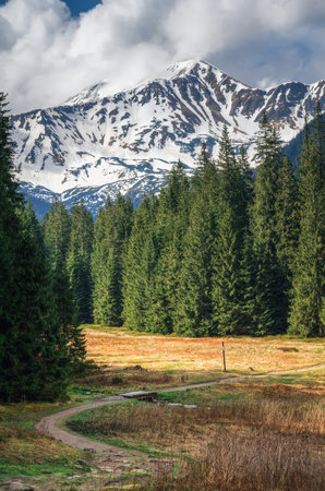 Spring mountain landscape in Polish mountains. Snowy mountain peak and clearing in Western Tatra, Poland.の写真素材