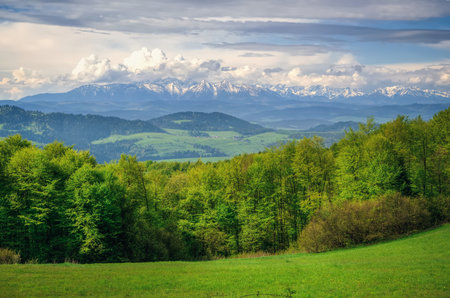 Spring mountain landscape in Polish mountains. Beautiful panorama with views of the high peaks.の写真素材