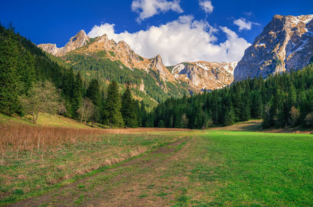 Spring mountain landscape in Polish mountains. Small Valley Meadows in the Western Tatra Mountains.の写真素材