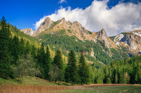 Spring mountain landscape in Polish mountains. Beautiful valley and mountain peaks in Western Tatra, Poland.の写真素材
