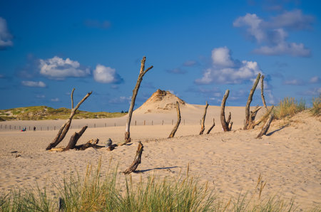 Beautiful holiday seaside landscape. Moving dunes in the desert in Slowinski National Park in Leba, Poland.の写真素材