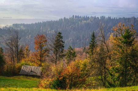 Countryside autumn landscape in Polish mountains. View of wooden hut on the glade in the forest, Beskids mountains in autumn season.の写真素材