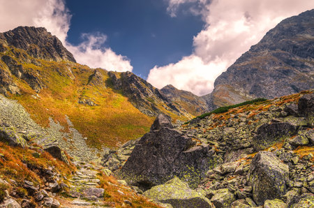 Summer mountain landscape in sunny day. Beautiful mountain trail in High Tatra, Slovakia.の写真素材