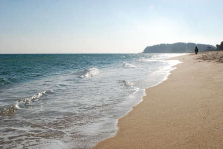 Cobalt color pacific sea and sand