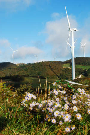 Wind power Generation, windmills