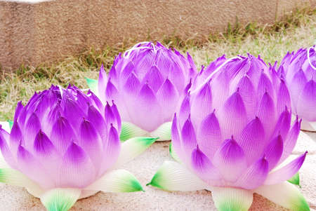 Beautiful Lotus Lanternsの写真素材