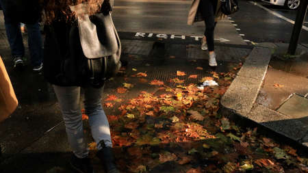 People walking on the street with autumn leaves in the city. High quality photo