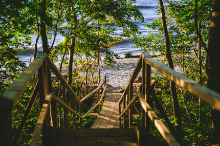 Green stairs sea trees nature on colorful background. Fresh green grass. Old stone.