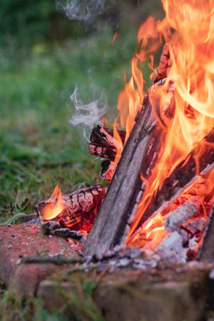 Wood campfire. Burning log fire. Red on yellow backdrop.