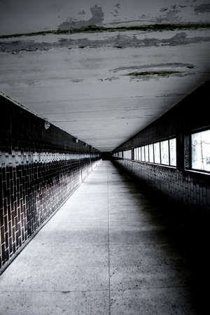 Building exterior - modern architecture - perspective. Retro style.