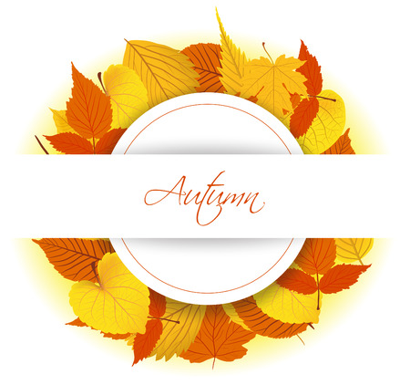 Autumn Leaves backgroundのイラスト素材
