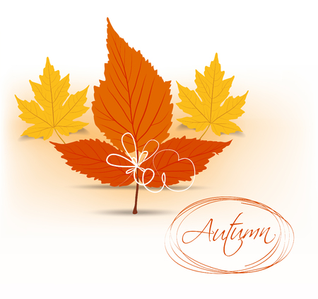 Autumn Leaves backgroundのイラスト素材