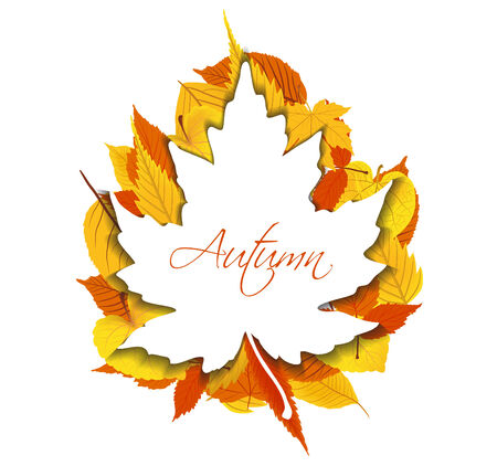 Autumn Leaves backgroundのイラスト素材