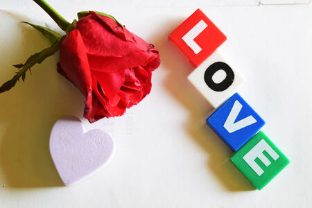 Rose in loveの写真素材