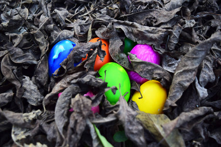 Colorful easter eggs in nest on meadowの写真素材