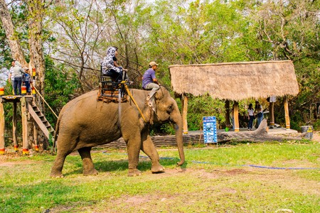 Man rides elephant on path at countryside, mahout ride this animal for travel, Viet Namのeditorial素材