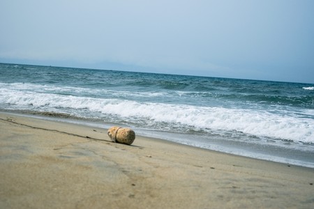 sand of beach caribbean seaの写真素材