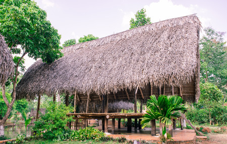 paleolithic thatched hutsの写真素材