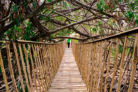 Suspension bridgeの写真素材