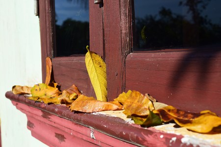 faded leaf at wooden windowの写真素材