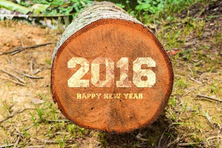 year 2016 written with vintage letterpress printing blocks on rustic wood backgroundの写真素材