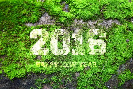 The word "2016" written in old gray stone wall with green mossの写真素材