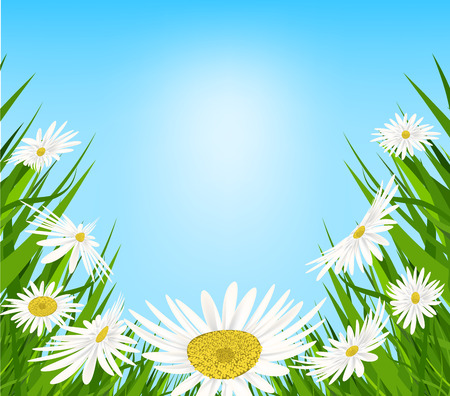 Summer meadow background with white daisy flowersのイラスト素材