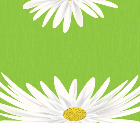 Summer meadow background with white daisy flowersのイラスト素材